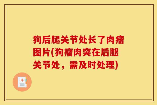 狗后腿关节处长了肉瘤图片(狗瘤肉突在后腿关节处，需及时处理)