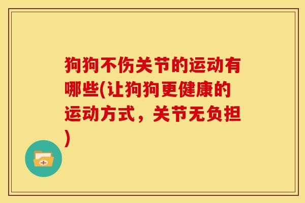 狗狗不伤关节的运动有哪些(让狗狗更健康的运动方式，关节无负担)