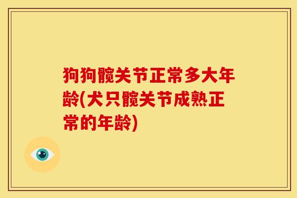 狗狗髋关节正常多大年龄(犬只髋关节成熟正常的年龄)