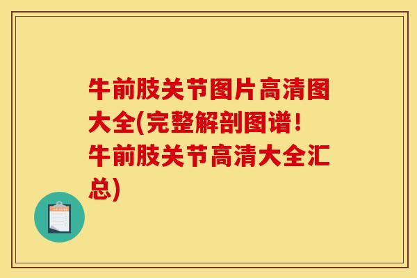 牛前肢关节图片高清图大全(完整解剖图谱！牛前肢关节高清大全汇总)