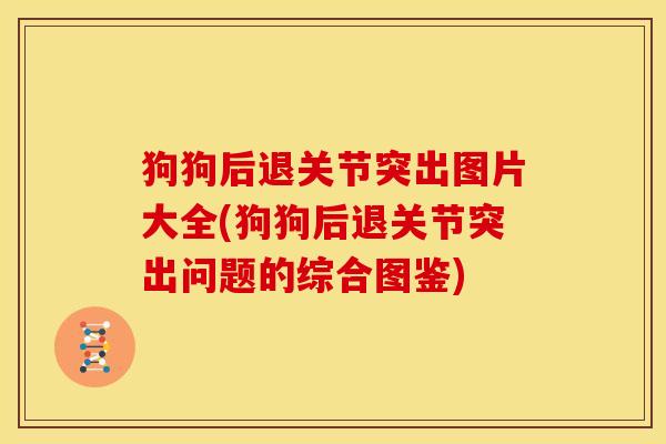 狗狗后退关节突出图片大全(狗狗后退关节突出问题的综合图鉴)