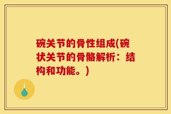 碗关节的骨性组成(碗状关节的骨骼解析：结构和功能。)