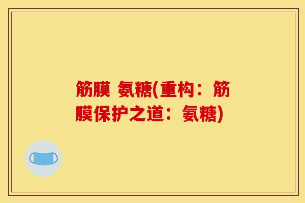 筋膜 氨糖(重构：筋膜保护之道：氨糖)