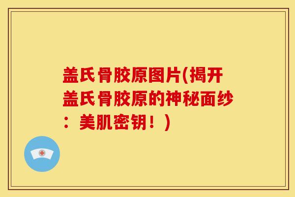 盖氏骨胶原图片(揭开盖氏骨胶原的神秘面纱：美肌密钥！)