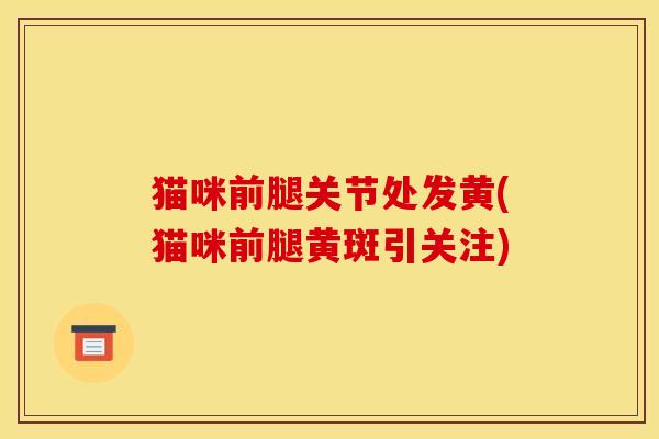 猫咪前腿关节处发黄(猫咪前腿黄斑引关注)