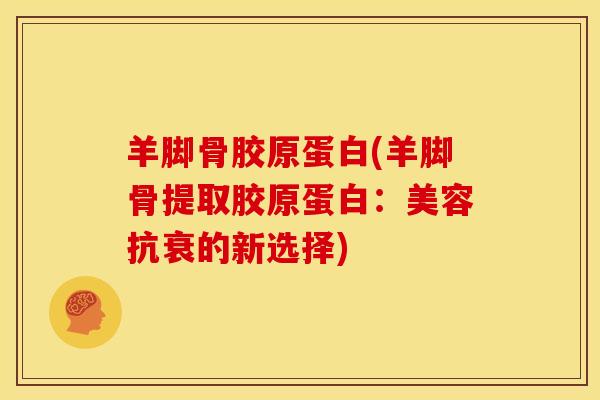 羊脚骨胶原蛋白(羊脚骨提取胶原蛋白：美容抗衰的新选择)