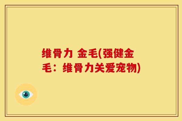 维骨力 金毛(强健金毛：维骨力关爱宠物)