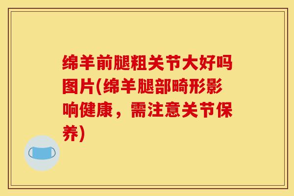 绵羊前腿粗关节大好吗图片(绵羊腿部畸形影响健康，需注意关节保养)
