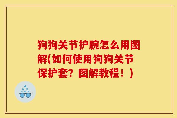 狗狗关节护腕怎么用图解(如何使用狗狗关节保护套？图解教程！)