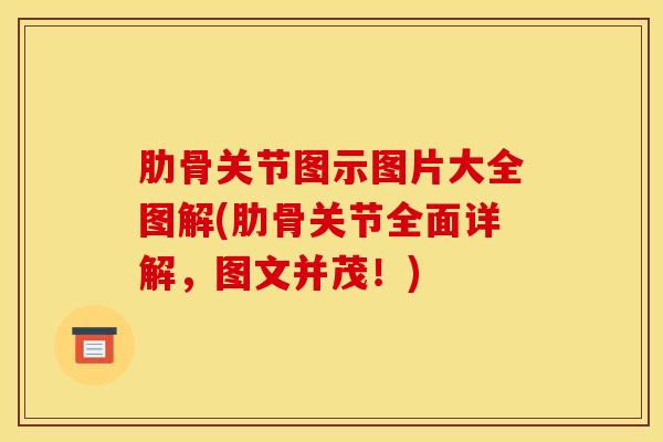 肋骨关节图示图片大全图解(肋骨关节全面详解，图文并茂！)