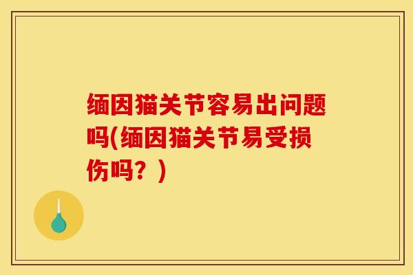 缅因猫关节容易出问题吗(缅因猫关节易受损伤吗？)