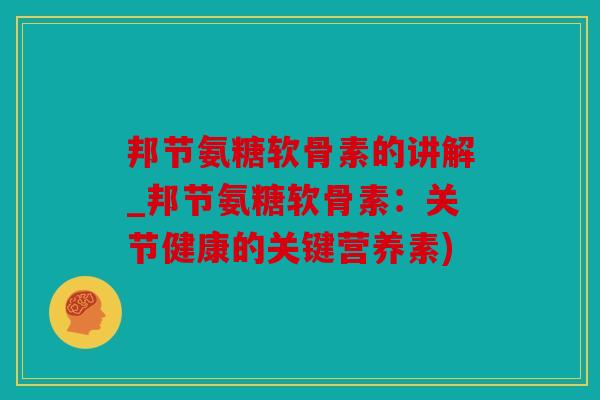 邦节氨糖软骨素的讲解_邦节氨糖软骨素：关节健康的关键营养素)