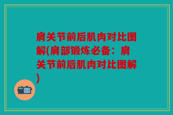 肩关节前后肌肉对比图解(肩部锻炼必备：肩关节前后肌肉对比图解)