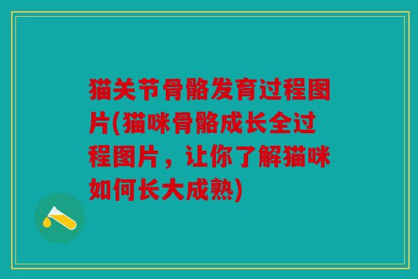 猫关节骨骼发育过程图片(猫咪骨骼成长全过程图片，让你了解猫咪如何长大成熟)