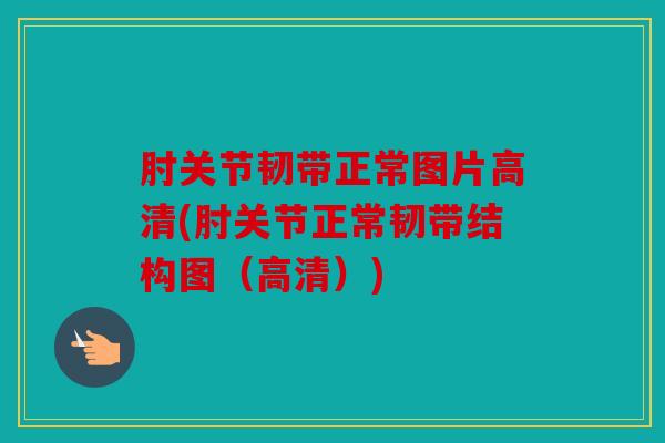 肘关节韧带正常图片高清(肘关节正常韧带结构图（高清）)