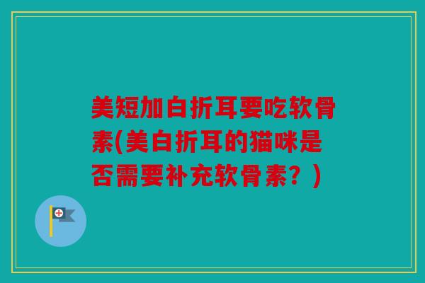 美短加白折耳要吃软骨素(美白折耳的猫咪是否需要补充软骨素？)