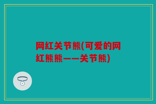 网红关节熊(可爱的网红熊熊——关节熊)