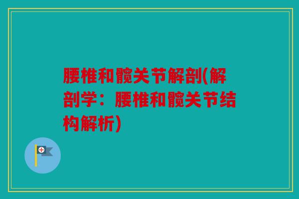 腰椎和髋关节解剖(解剖学：腰椎和髋关节结构解析)