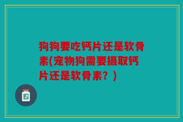 狗狗要吃钙片还是软骨素(宠物狗需要摄取钙片还是软骨素？)