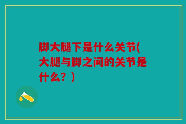 脚大腿下是什么关节(大腿与脚之间的关节是什么？)