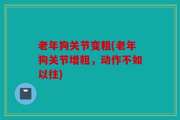 老年狗关节变粗(老年狗关节增粗，动作不如以往)