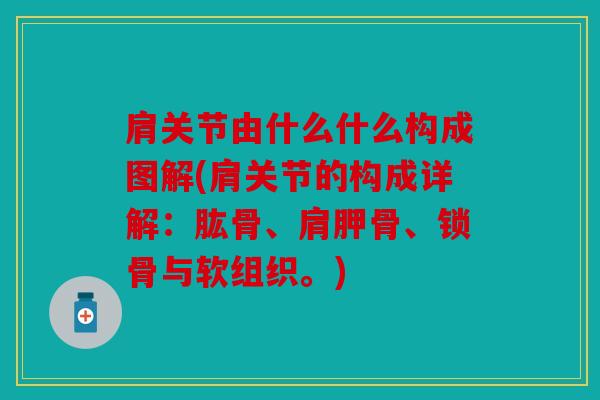肩关节由什么什么构成图解(肩关节的构成详解：肱骨、肩胛骨、锁骨与软组织。)