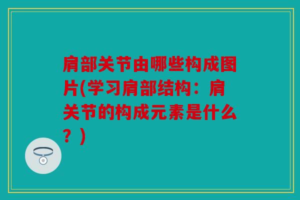 肩部关节由哪些构成图片(学习肩部结构：肩关节的构成元素是什么？)