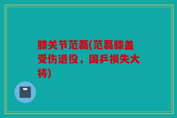 膝关节范磊(范磊膝盖受伤退役，国乒损失大将)