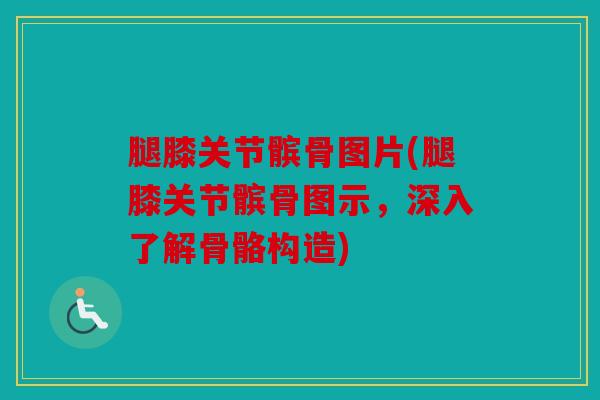 腿膝关节髌骨图片(腿膝关节髌骨图示，深入了解骨骼构造)