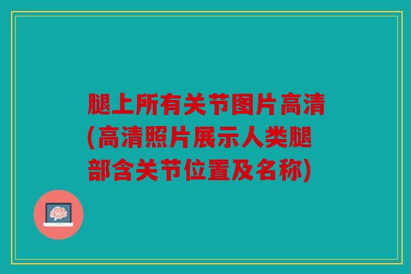 腿上所有关节图片高清(高清照片展示人类腿部含关节位置及名称)