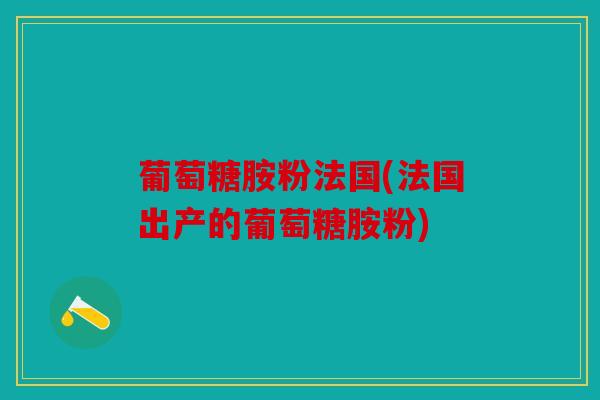 葡萄糖胺粉法国(法国出产的葡萄糖胺粉)
