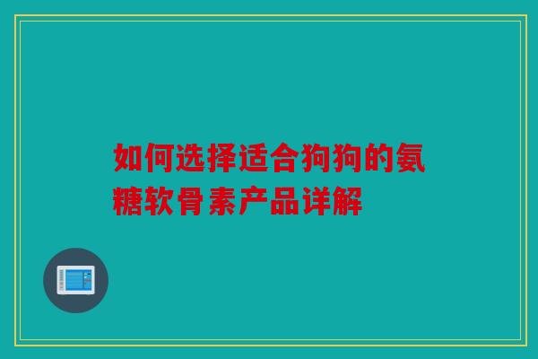 如何选择适合狗狗的氨糖软骨素产品详解