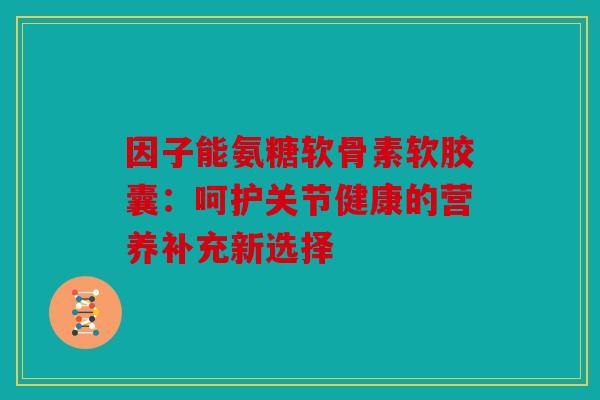 因子能氨糖软骨素软胶囊：呵护关节健康的营养补充新选择