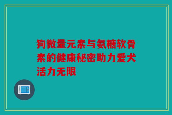 狗微量元素与氨糖软骨素的健康秘密助力爱犬活力无限