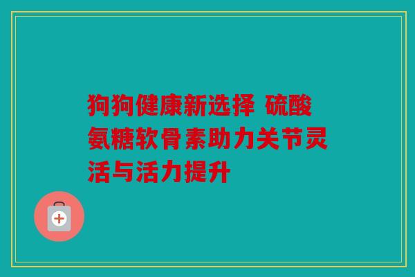 狗狗健康新选择 硫酸氨糖软骨素助力关节灵活与活力提升