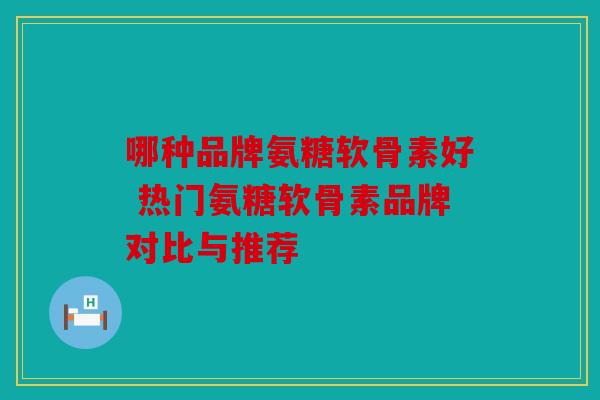 哪种品牌氨糖软骨素好 热门氨糖软骨素品牌对比与推荐