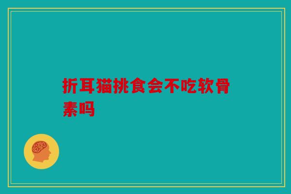折耳猫挑食会不吃软骨素吗
