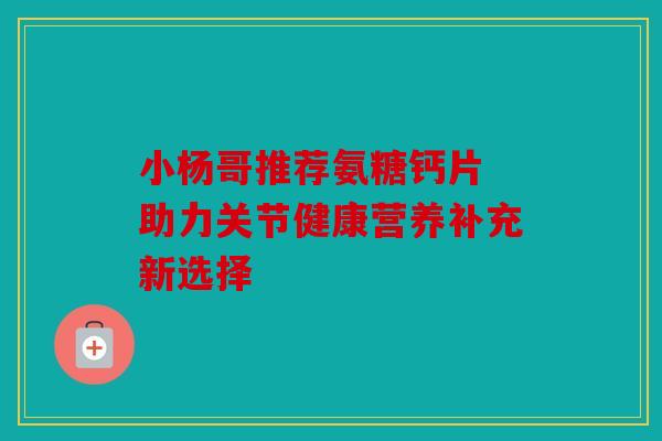 小杨哥推荐氨糖钙片 助力关节健康营养补充新选择