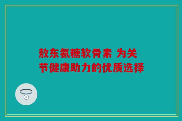 敖东氨糖软骨素 为关节健康助力的优质选择