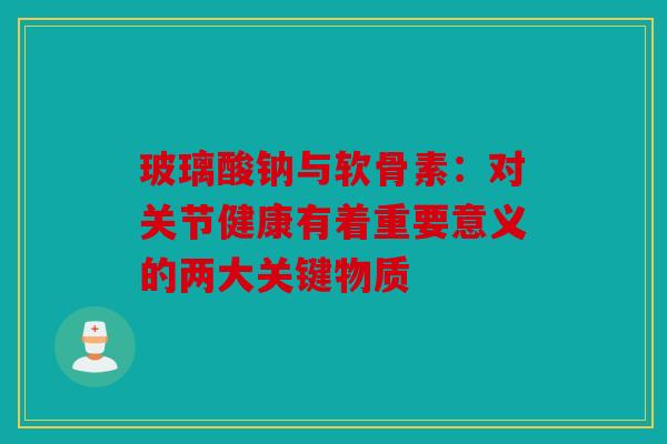 玻璃酸钠与软骨素：对关节健康有着重要意义的两大关键物质