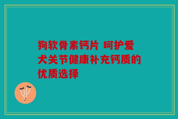 狗软骨素钙片 呵护爱犬关节健康补充钙质的优质选择