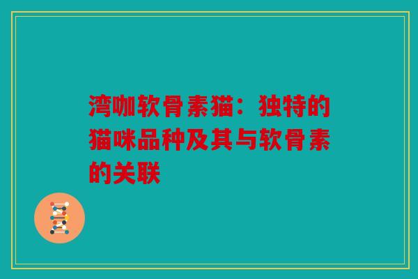湾咖软骨素猫：独特的猫咪品种及其与软骨素的关联