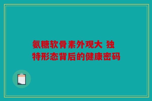 氨糖软骨素外观大 独特形态背后的健康密码