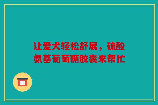 让爱犬轻松舒展，硫酸氨基葡萄糖胶囊来帮忙